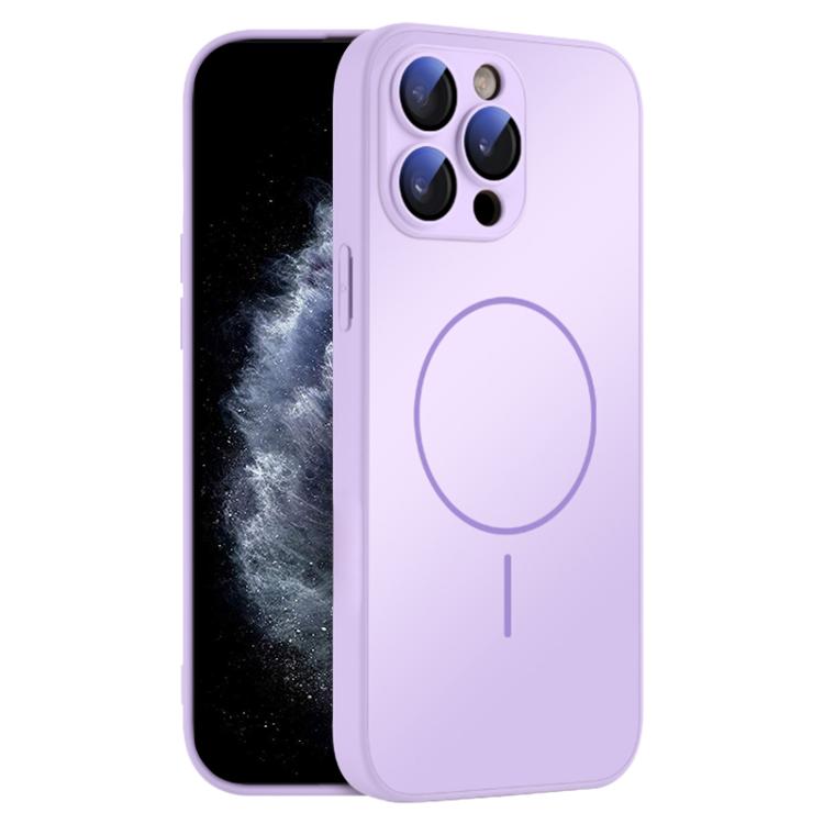 For iPhone 11 Pro Max Thin Circle MagSafe Skin-feel AG Glass Phone Case