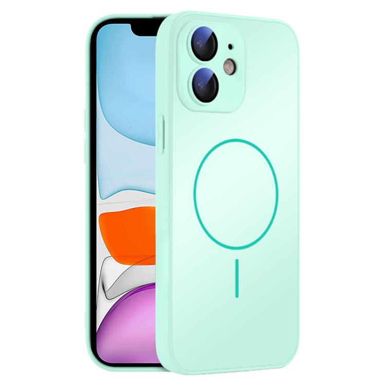 For iPhone 11 Thin Circle MagSafe Skin-feel AG Glass Phone Case