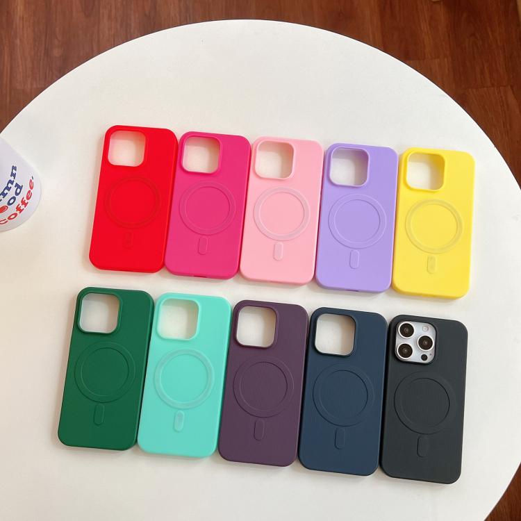 For iPhone 13 Stripe MagSafe TPU Phone Case