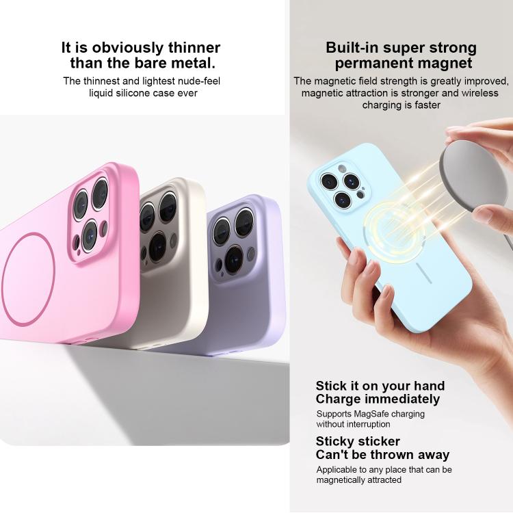 For iPhone 13 Pro Thin Circle MagSafe Fine Hole Liquid Silicone Phone Case