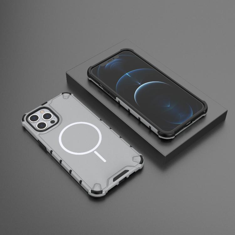 For iPhone 12 Pro Max Grating Solid Color MagSafe Magnetic Phone Case