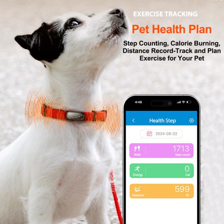 RF-V53 IP67 Waterproof Pet GPS Collar Tracking Device Anti-loss Positioner - Black