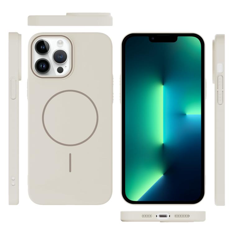 For iPhone 13 Pro Max Thin Circle PC Injection MagSafe Phone Case