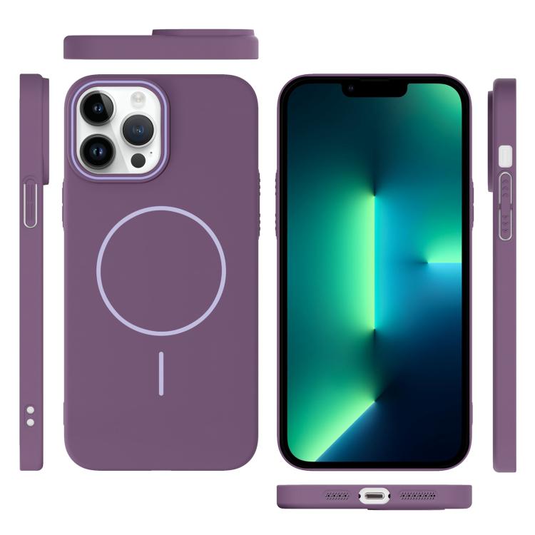 For iPhone 13 Pro Max Thin Circle PC Injection MagSafe Phone Case