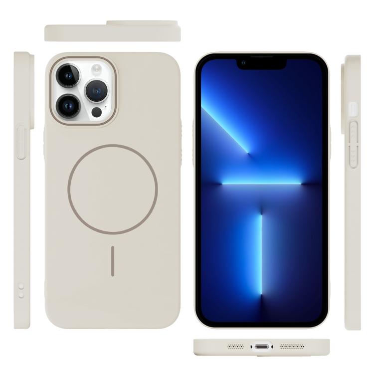 For iPhone 13 Pro Thin Circle PC Injection MagSafe Phone Case