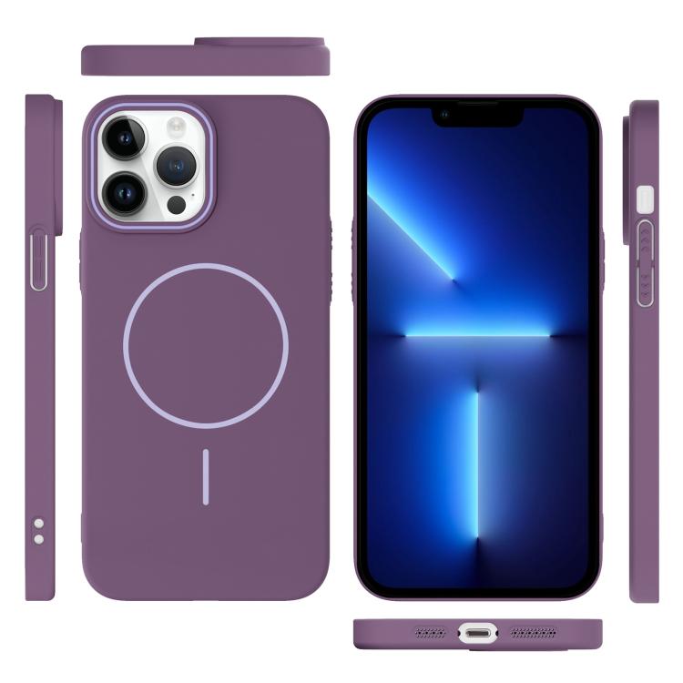For iPhone 13 Pro Thin Circle PC Injection MagSafe Phone Case