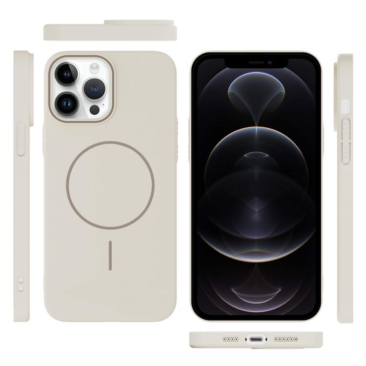 For iPhone 12 Pro Thin Circle PC Injection MagSafe Phone Case