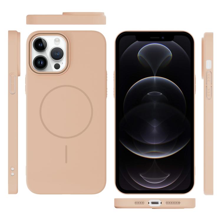 For iPhone 12 Pro Thin Circle PC Injection MagSafe Phone Case