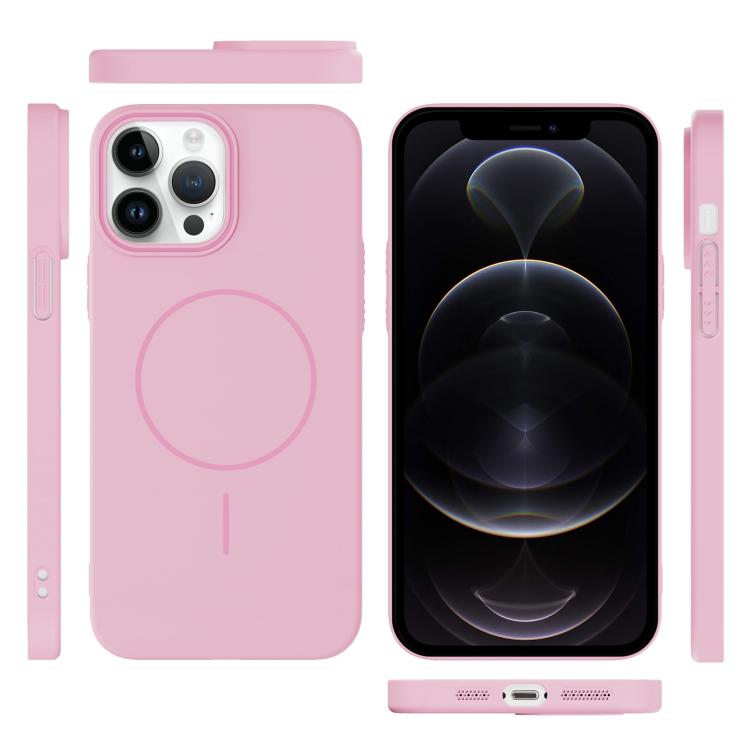 For iPhone 12 Pro Thin Circle PC Injection MagSafe Phone Case
