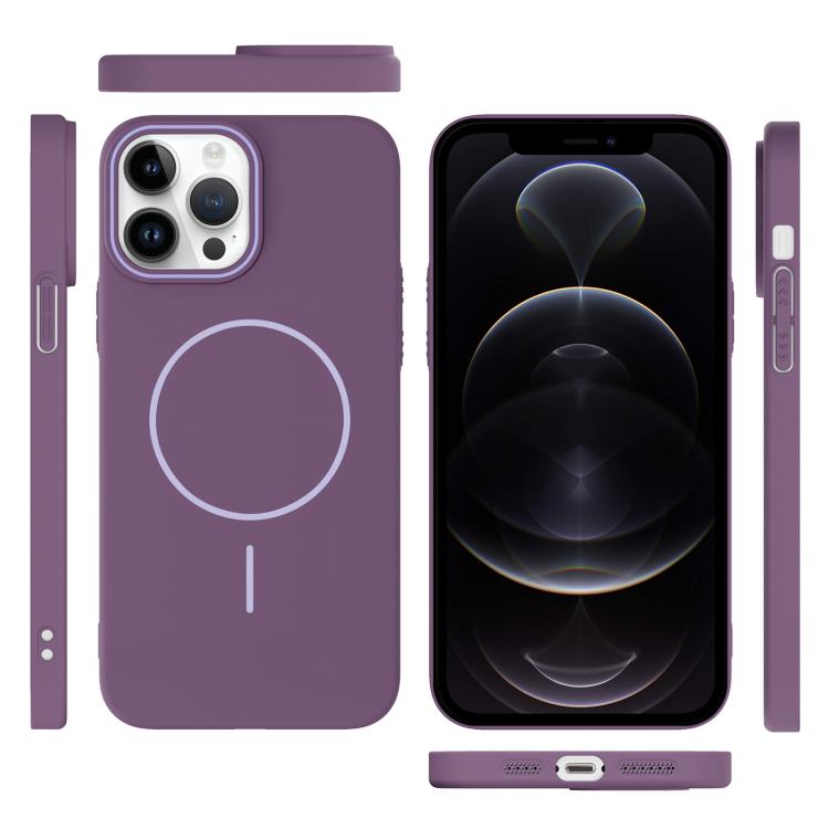 For iPhone 12 Pro Thin Circle PC Injection MagSafe Phone Case