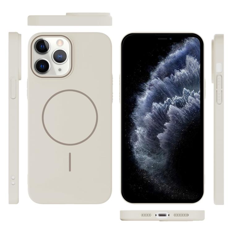 For iPhone 11 Pro Thin Circle PC Injection MagSafe Phone Case