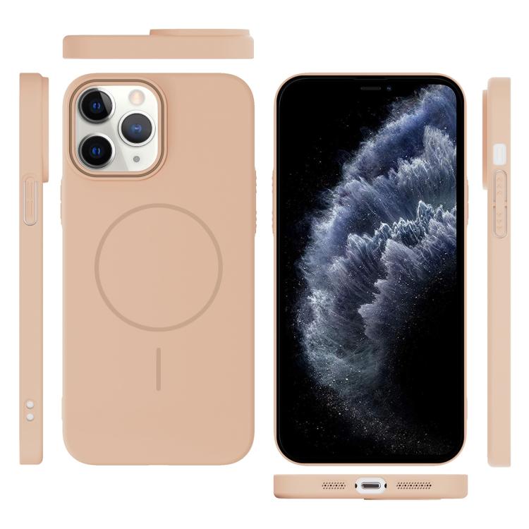 For iPhone 11 Pro Thin Circle PC Injection MagSafe Phone Case