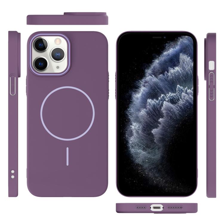 For iPhone 11 Pro Thin Circle PC Injection MagSafe Phone Case