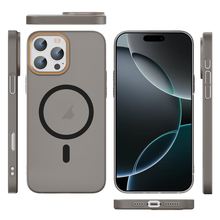 For iPhone 16 Pro Translucent Frosted Skin PC MagSafe Phone Case