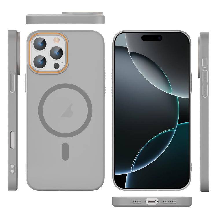 For iPhone 16 Pro Translucent Frosted Skin PC MagSafe Phone Case