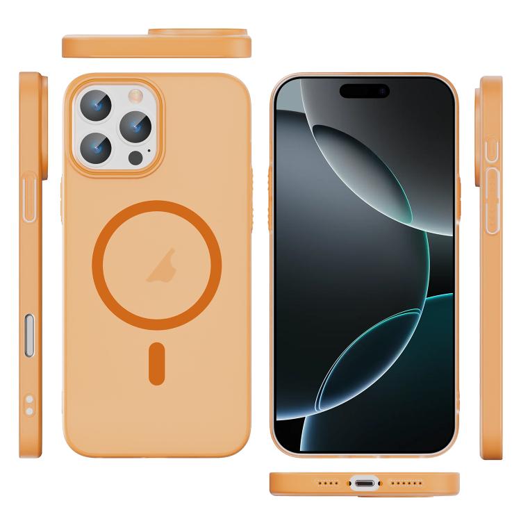 For iPhone 16 Pro Translucent Frosted Skin PC MagSafe Phone Case