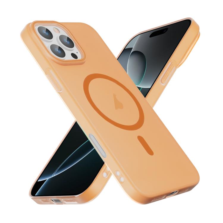 For iPhone 16 Pro Translucent Frosted Skin PC MagSafe Phone Case