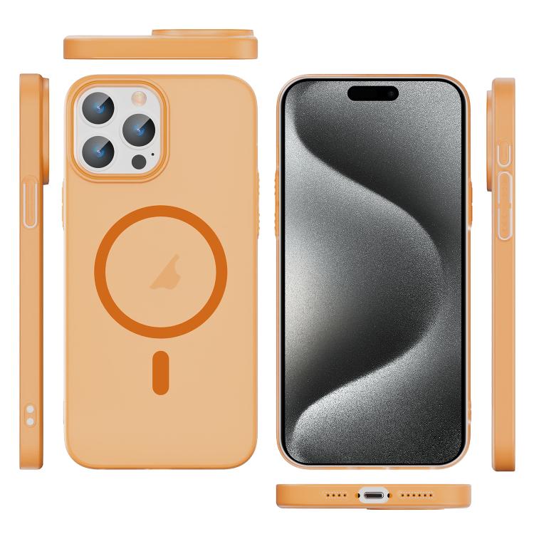 For iPhone 15 Pro Translucent Frosted Skin PC MagSafe Phone Case