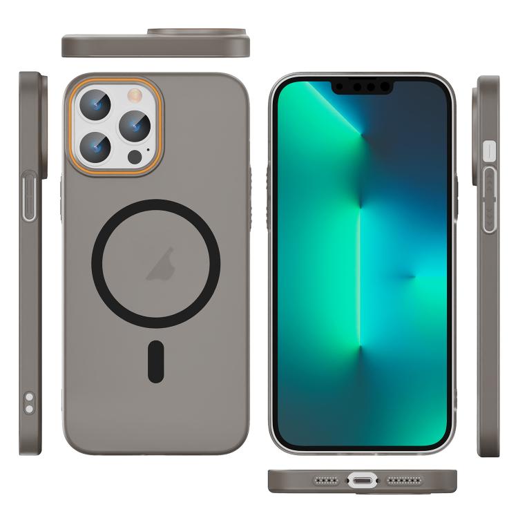 For iPhone 13 Pro Translucent Frosted Skin PC MagSafe Phone Case