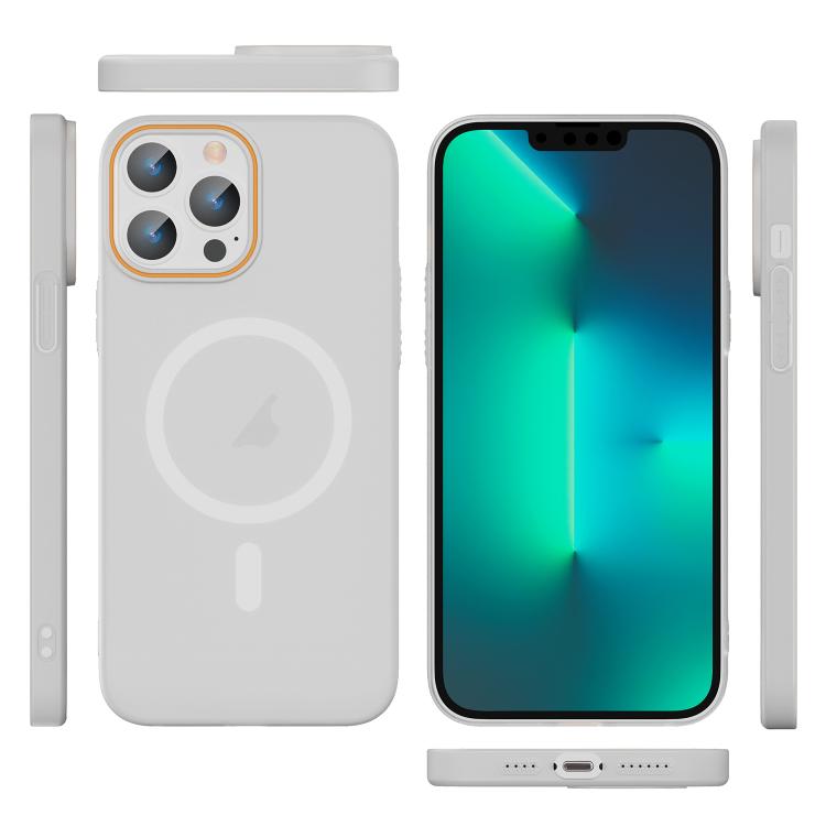 For iPhone 13 Pro Translucent Frosted Skin PC MagSafe Phone Case