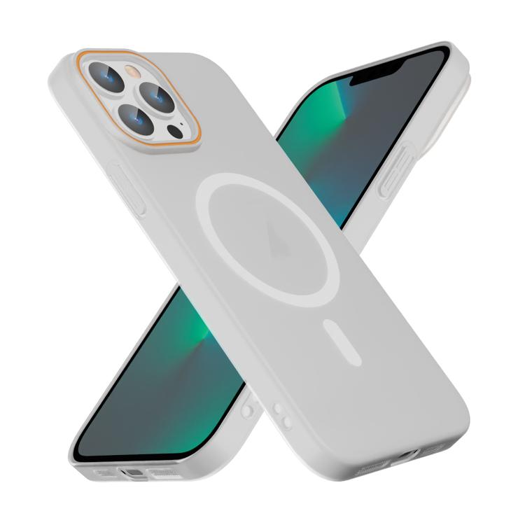 For iPhone 13 Pro Translucent Frosted Skin PC MagSafe Phone Case