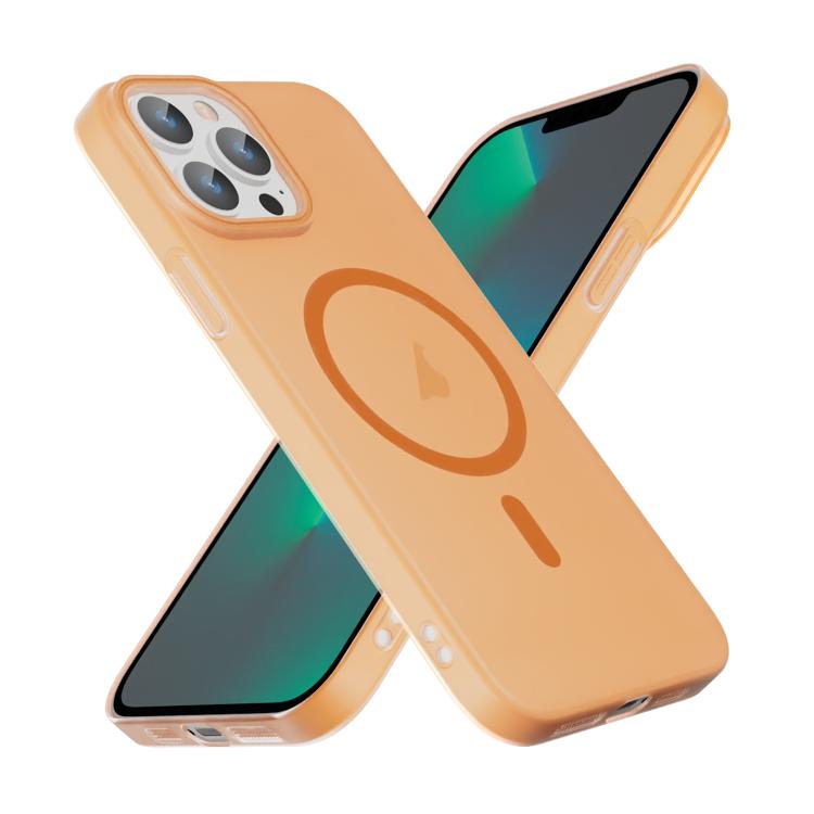 For iPhone 13 Pro Translucent Frosted Skin PC MagSafe Phone Case
