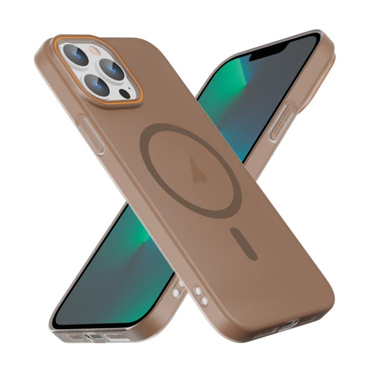 For iPhone 13 Pro Translucent Frosted Skin PC MagSafe Phone Case
