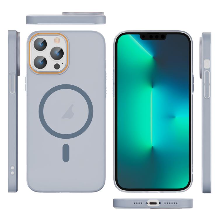 For iPhone 13 Pro Translucent Frosted Skin PC MagSafe Phone Case
