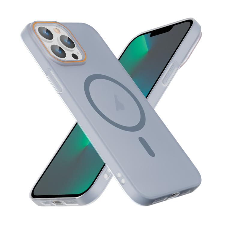For iPhone 13 Pro Translucent Frosted Skin PC MagSafe Phone Case