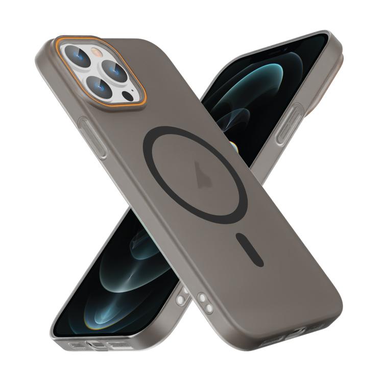 For iPhone 12 Pro Translucent Frosted Skin PC MagSafe Phone Case