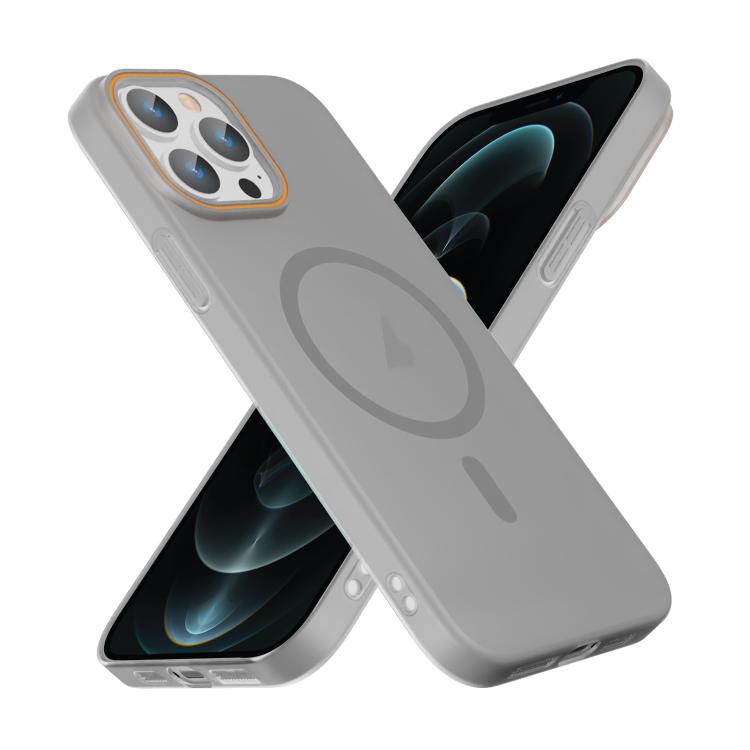 For iPhone 12 Pro Translucent Frosted Skin PC MagSafe Phone Case