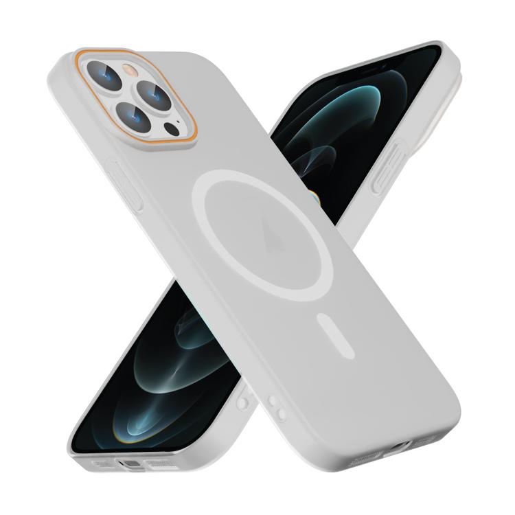 For iPhone 12 Pro Translucent Frosted Skin PC MagSafe Phone Case