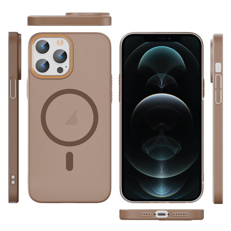 For iPhone 12 Pro Translucent Frosted Skin PC MagSafe Phone Case