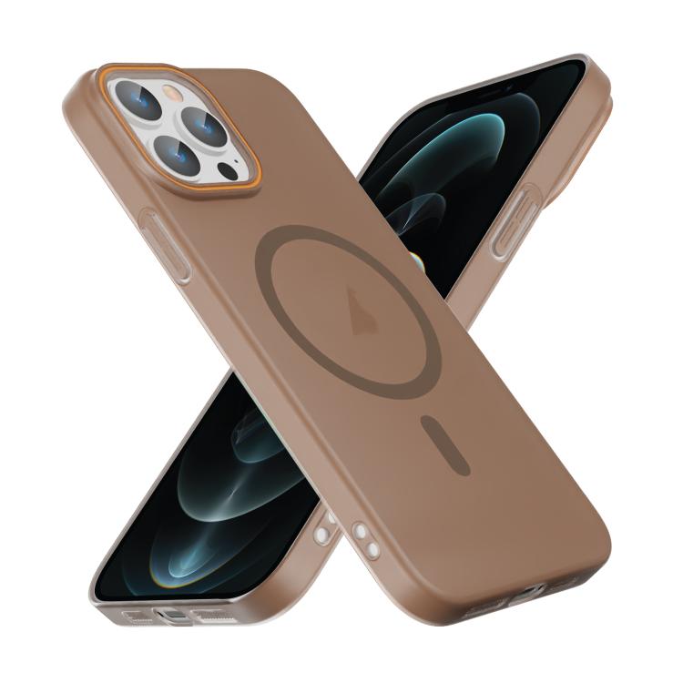 For iPhone 12 Pro Max Translucent Frosted Skin PC MagSafe Phone Case