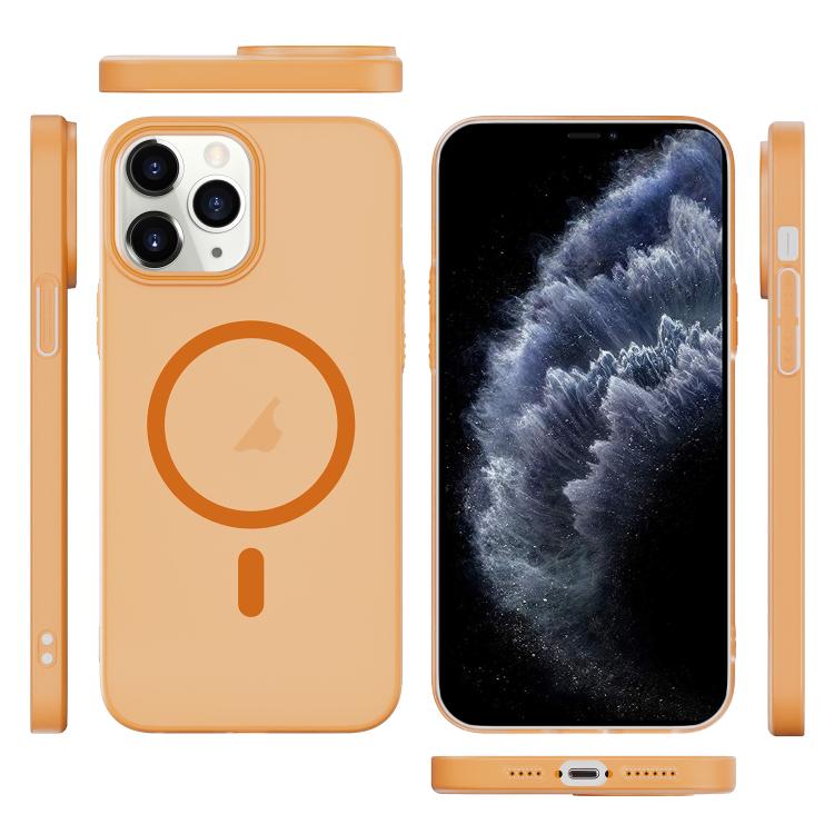 For iPhone 11 Pro Max Translucent Frosted Skin PC MagSafe Phone Case