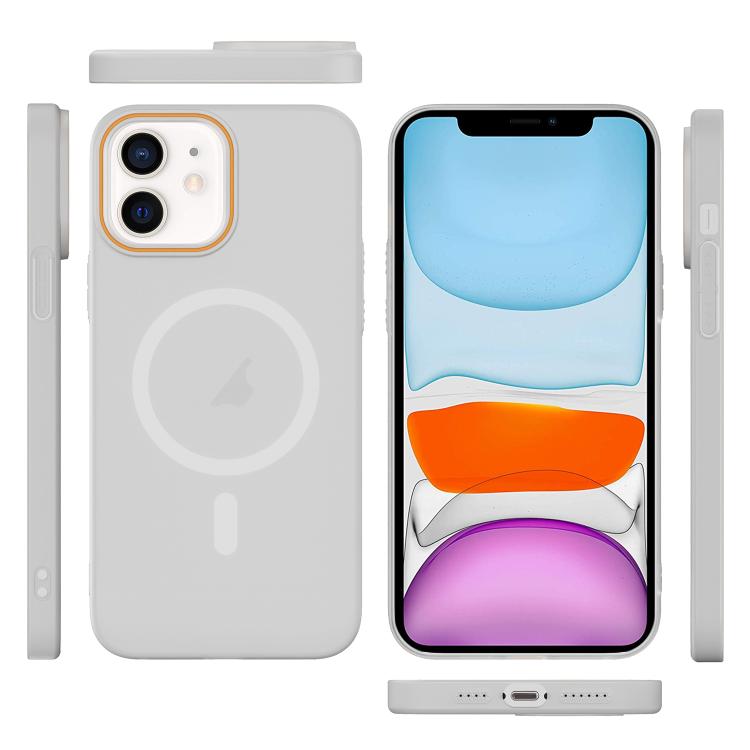 For iPhone 11 Translucent Frosted Skin PC MagSafe Phone Case