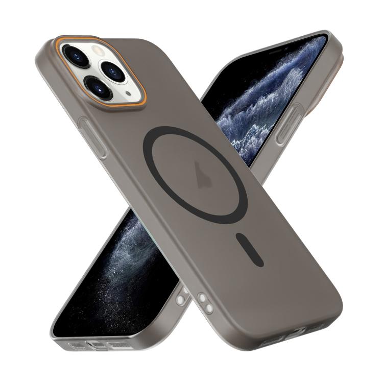 For iPhone 11 Pro Translucent Frosted Skin PC MagSafe Phone Case