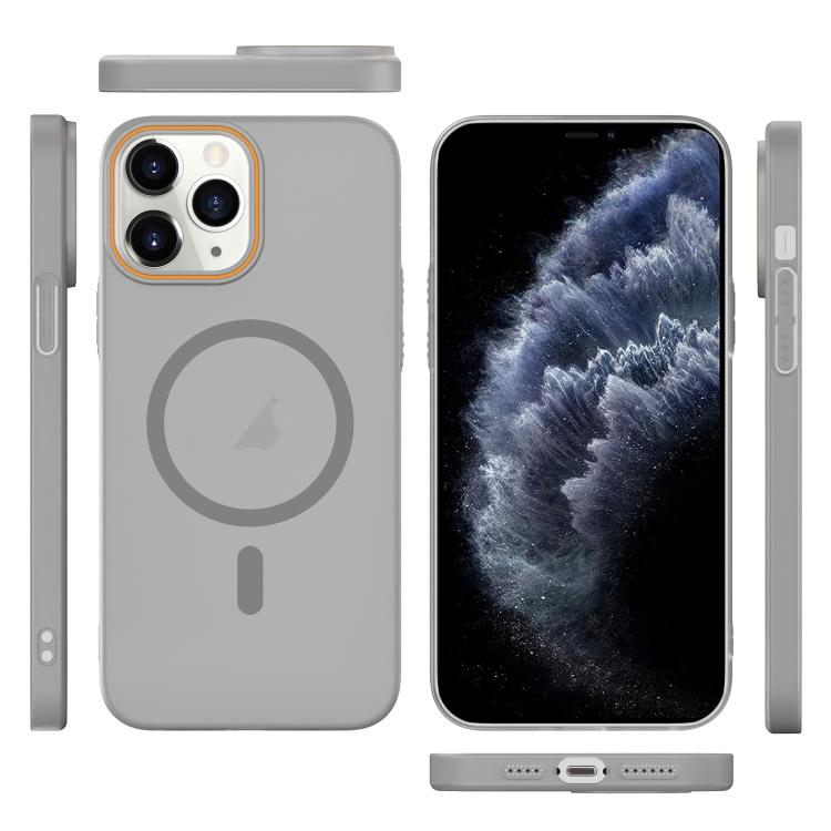 For iPhone 11 Pro Translucent Frosted Skin PC MagSafe Phone Case