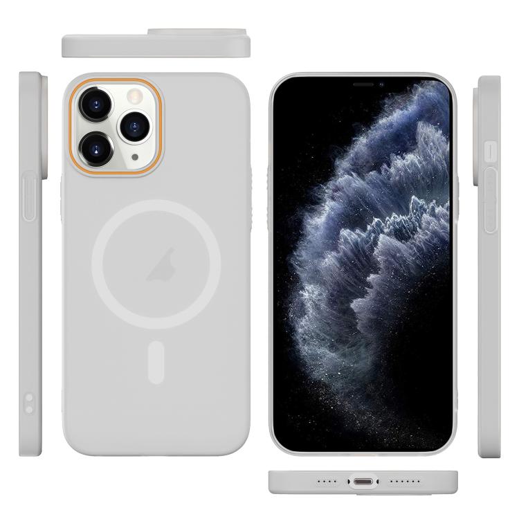 For iPhone 11 Pro Translucent Frosted Skin PC MagSafe Phone Case