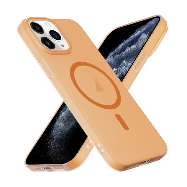 For iPhone 11 Pro Translucent Frosted Skin PC MagSafe Phone Case