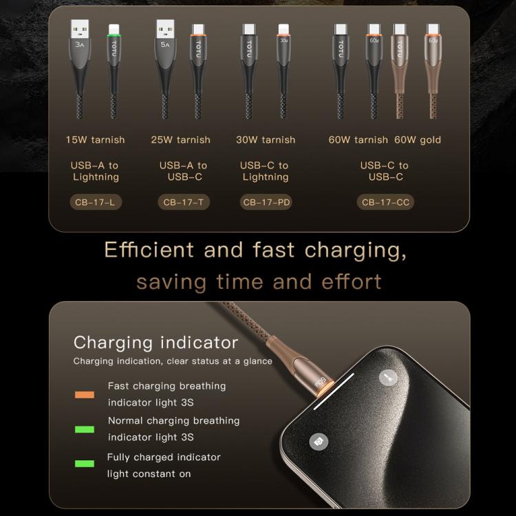TOTU CB-17-CC 60W USB-C / Type-C to Type-C Smart Power-off Data Cable, Length:1.2m - Tarnish