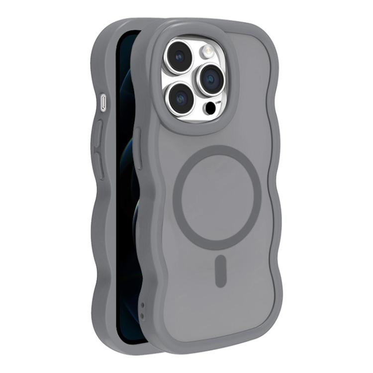 For iPhone 12 Pro Max Skin Feel MagSafe Phone Case