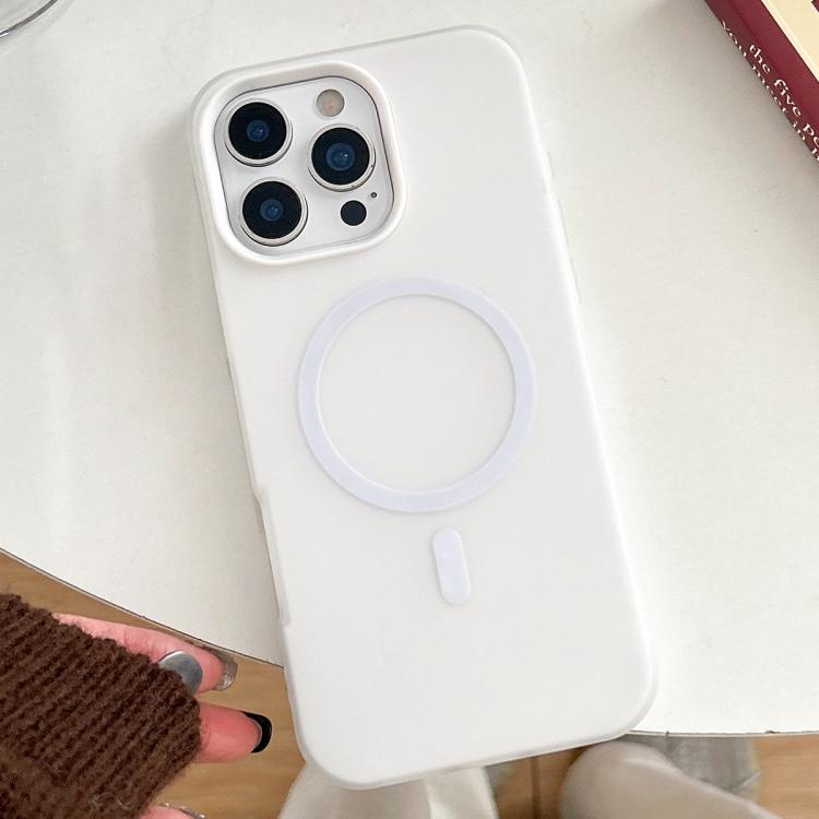 For iPhone 16 Pro Max Skin Feel MagSafe Magnetic PC Hybrid TPU Phone Case