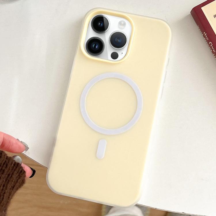 For iPhone 13 Pro Skin Feel MagSafe Magnetic PC Hybrid TPU Phone Case
