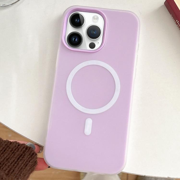 For iPhone 12 Pro Max Skin Feel MagSafe Magnetic PC Hybrid TPU Phone Case