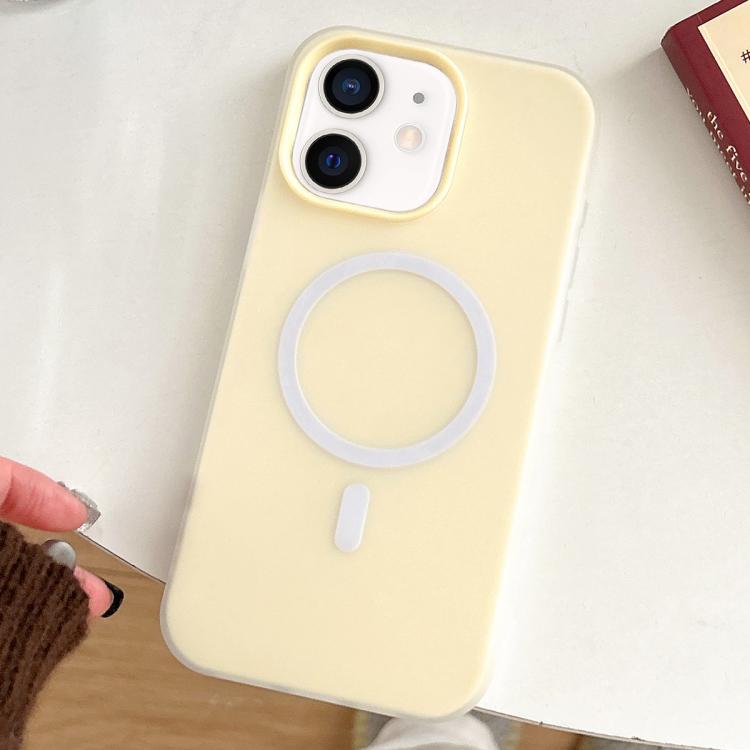 For iPhone 12 Skin Feel MagSafe Magnetic PC Hybrid TPU Phone Case