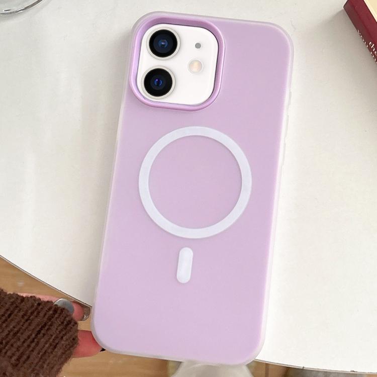 For iPhone 11 Skin Feel MagSafe Magnetic PC Hybrid TPU Phone Case