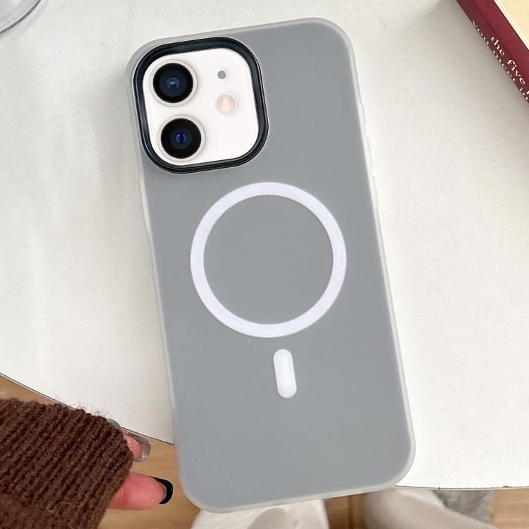 For iPhone 11 Skin Feel MagSafe Magnetic PC Hybrid TPU Phone Case