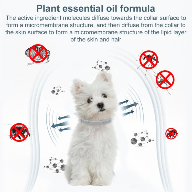 Pet Deworming Calming Collar Fleas Ticks Removing, Aluminum Box Packing, Model:56cm For Cat