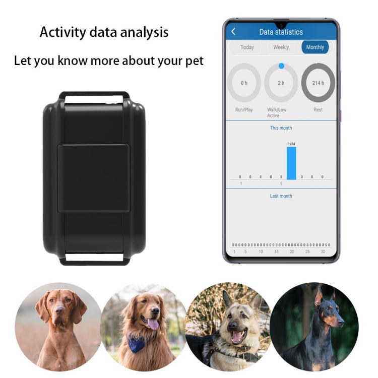 TK919 4G Dog Collar IP67 Waterproof GPS Locator - Tape Random Color Delivery